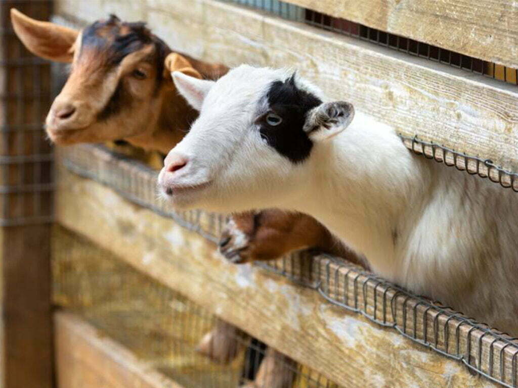 Conroe, TX 3 Garage Door Repair College Station, TX