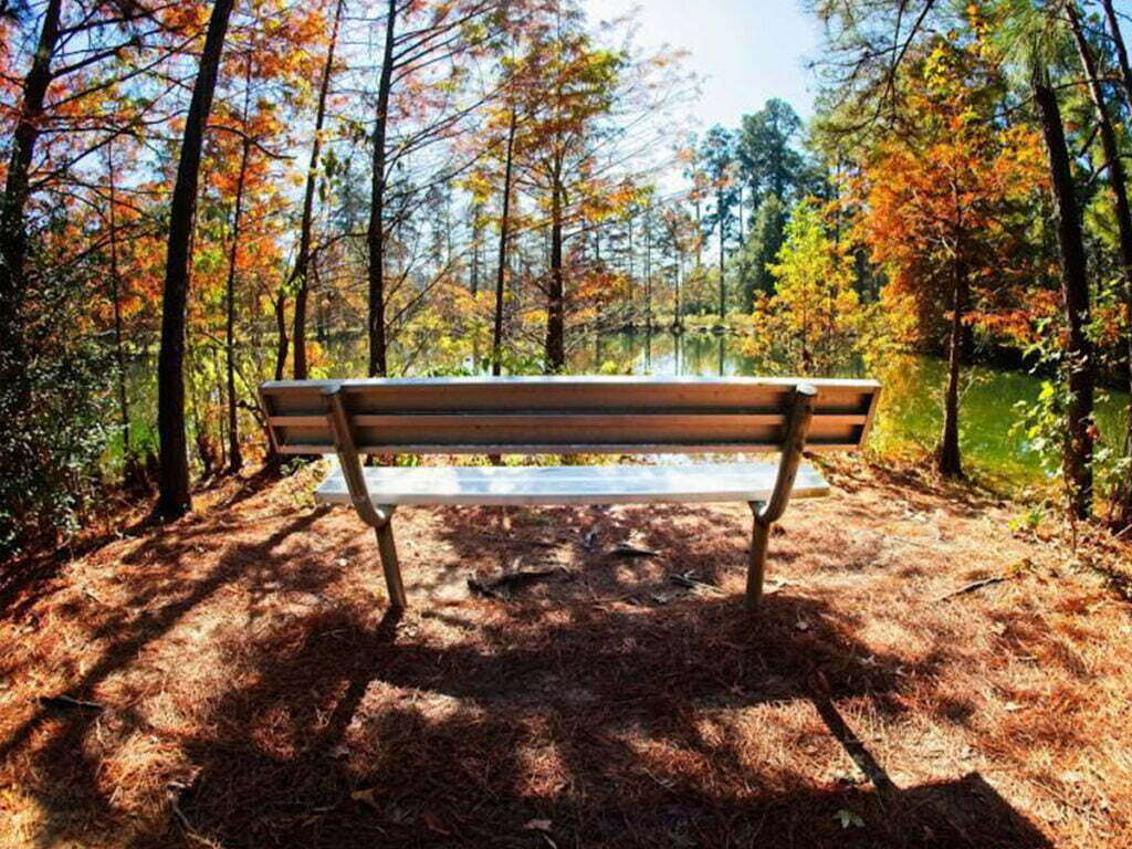 Conroe, TX 5 Garage Door Repair College Station, TX