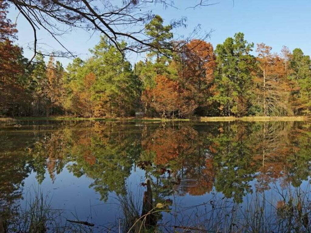 Conroe, TX 4 Garage Door Repair College Station, TX