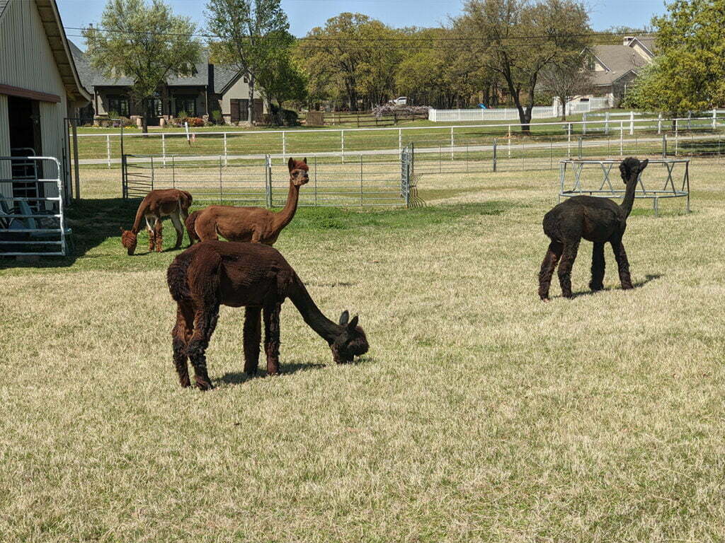 Woodway, TX 7 Garage Door Repair College Station, TX