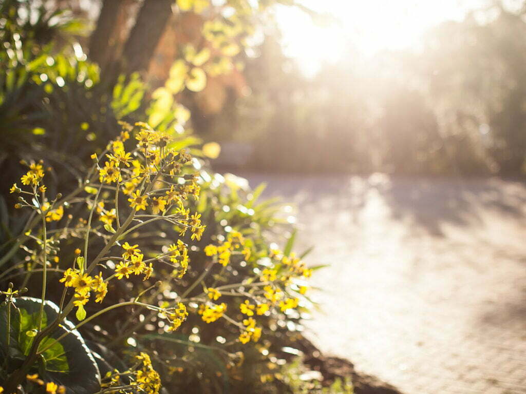 Spring, TX 6 Garage Door Repair College Station, TX
