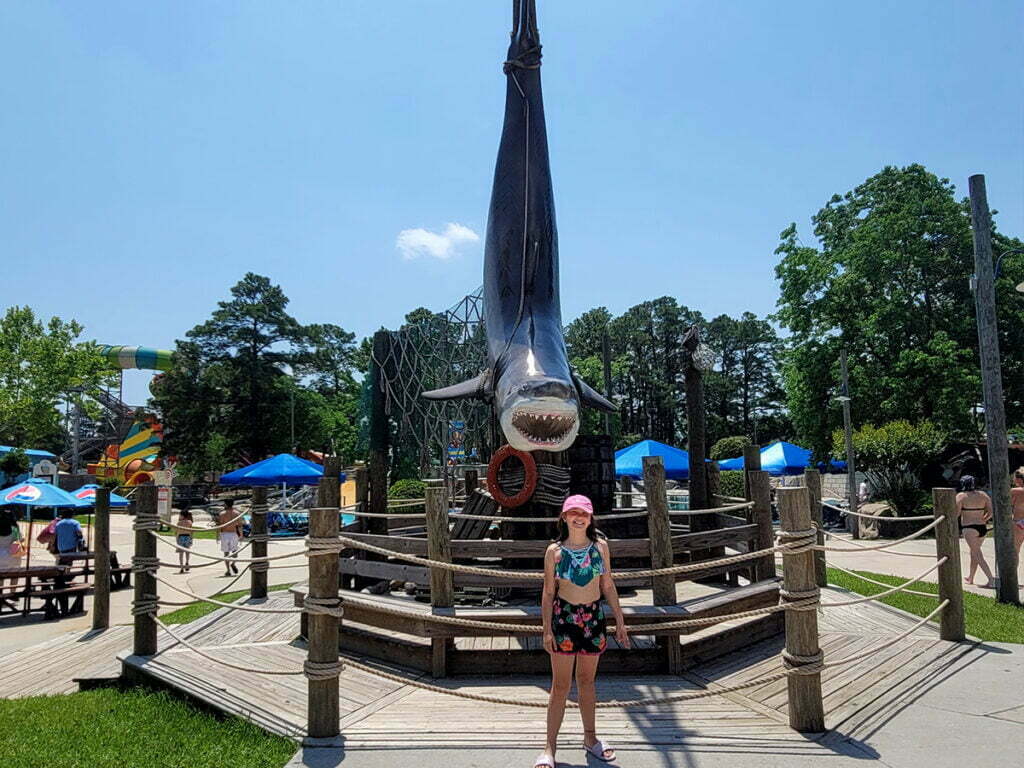 Spring, TX 9 Garage Door Repair College Station, TX