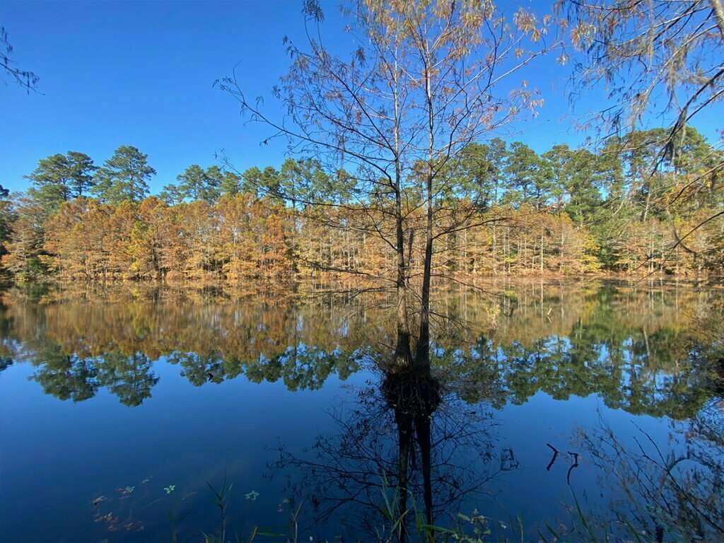 Spring, TX 5 Garage Door Repair College Station, TX
